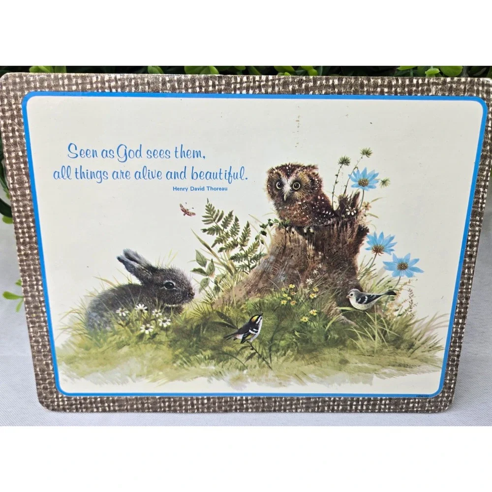 Bright-Crest Ltd. Heat Resistant Trivet Hot Plaque Owl Rabbit Cork 8x6 HPW102
